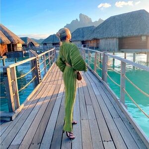 Cult Gaia green pleated set